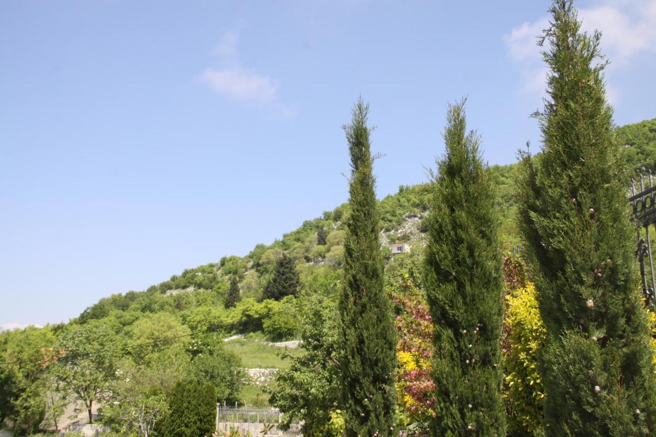 Villa Eagle Eye Montenegro Kotor Exterior foto
